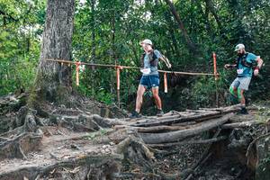 BIB: 
                            <button type="button" onclick="openModal(27808033)" class="btn btn-primary btn-sm float-right btn-popup" data-toggle="modal" data-target=".modal-high-quality">
                        <i class="fas fa-shopping-cart"></i> Add to Cart
                    </button>
                                            <button type="button" onclick="isThisMe(27808033, true)" class="btn btn-success btn-sm float-right btn-popup btn-isme hidden" data-toggle="tooltip" data-placement="bottom" title="นี่คือรูปของคุณใช่ไหม คลิกที่นี่เพื่อเอาเข้าอัลบั้ม">
                        <i class="fas fa-plus"></i> Add to album
                    </button>
                    <button type="button" onclick="isThisMe(27808033, false)" class="btn btn-warning btn-sm float-right btn-popup btn-isnotme hidden">
                        <i class="fas fa-ban"></i> Remove from album
                    </button>